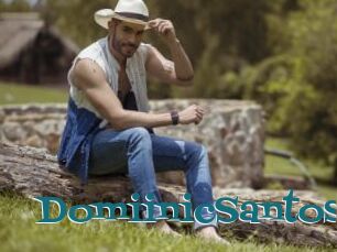 DomiinicSantos