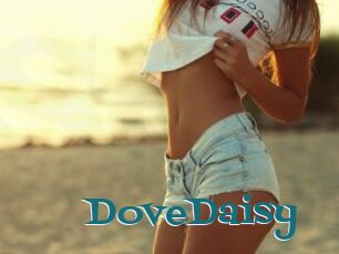 DoveDaisy
