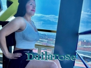 Dailarose
