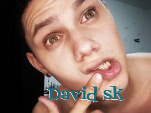 David_sk