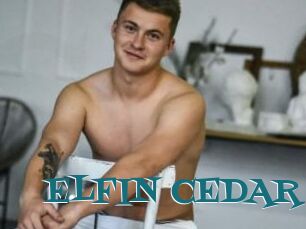 ELFIN_CEDAR