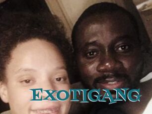 EXOTIGANG