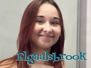 Elgaalsbrook