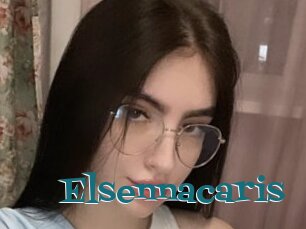 Elsennacaris