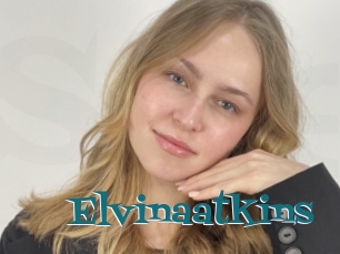 Elvinaatkins