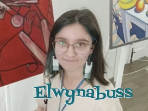 Elwynabuss