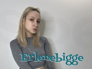 Erlenebigge