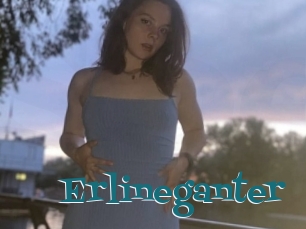Erlineganter