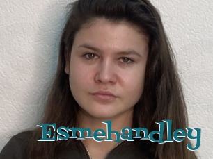 Esmehandley