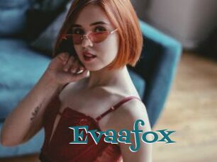 Evaafox