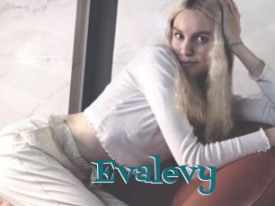 Evalevy