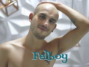 Felboy