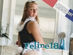 Feline18