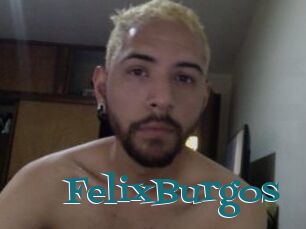 FelixBurgos