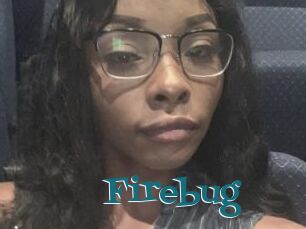 Firebug