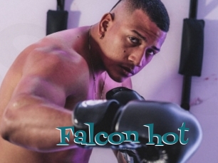 Falcon_hot