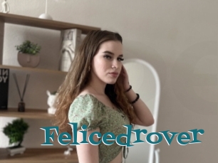 Felicedrover
