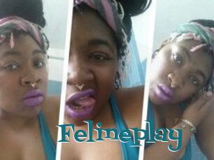 Felineplay