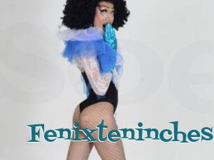 Fenixteninches