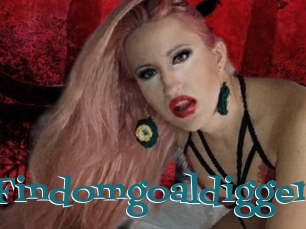 Findomgoaldigger
