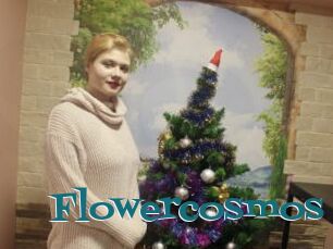 Flowercosmos