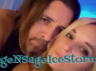 GageNSageIceStorm