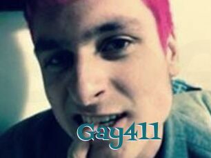 Gay411