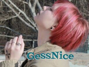 GessNice