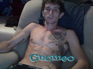 Gnomeo