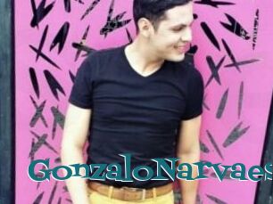 GonzaloNarvaes