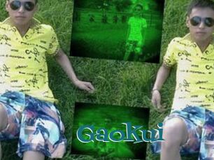 Gaokui