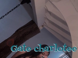Gate_charlotee