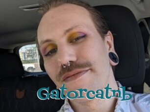 Gatorcatnb