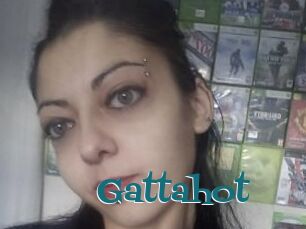 Gattahot