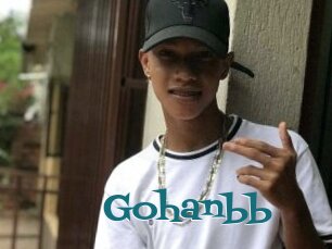 Gohanbb