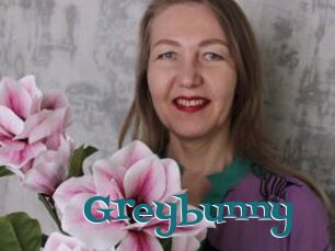 Greybunny
