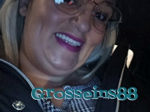 Grosseins88
