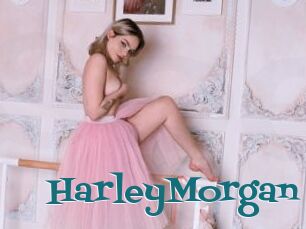 HarleyMorgan