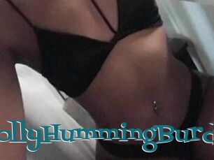 Holly_HummingBurd