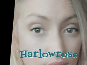 Harlowrose