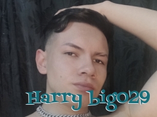 Harry_big029