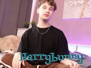 Harrybunny