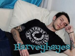 Harveyhayes