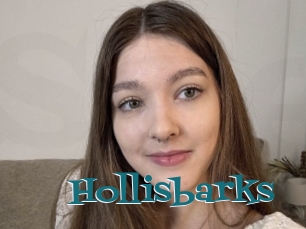Hollisbarks