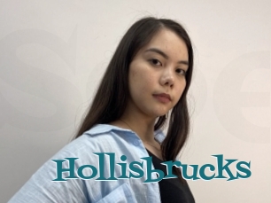 Hollisbrucks