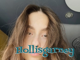 Hollisgarney