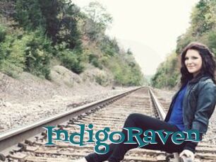 IndigoRaven