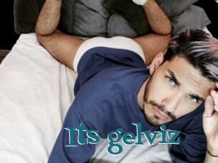 Its_gelviz