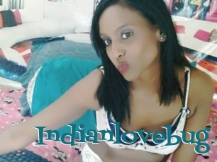 Indianlovebug
