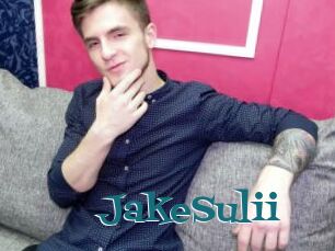 JakeSulii